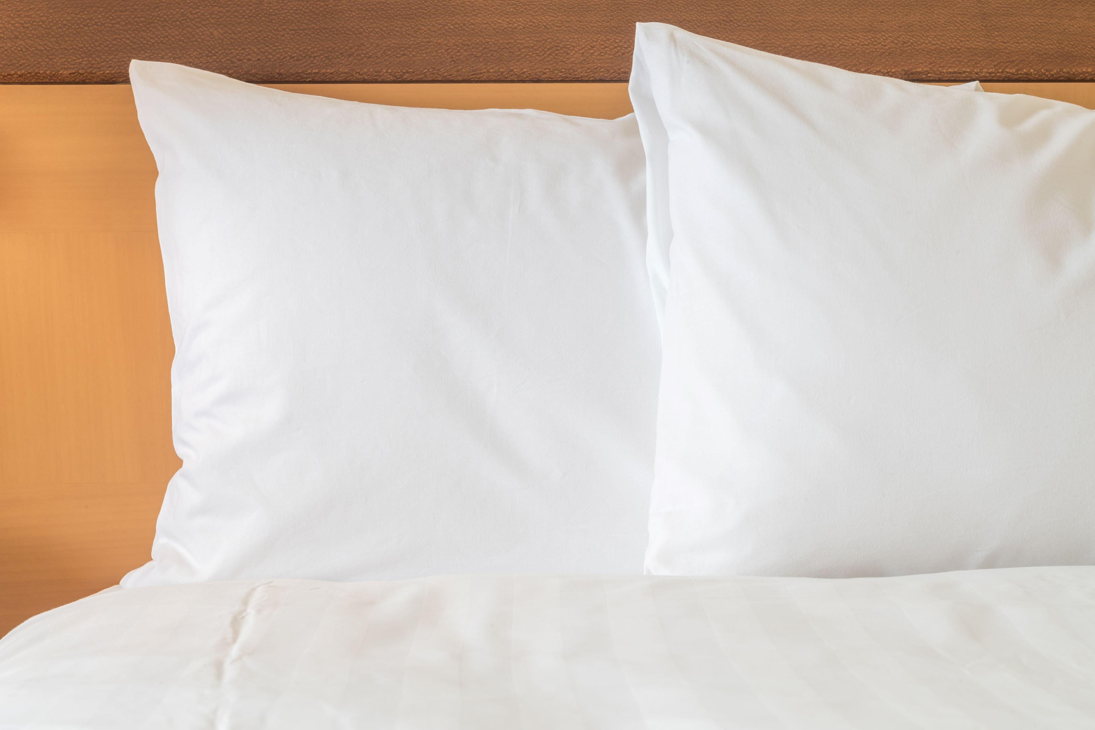 Holiday Inn Express Hotel & Suites Indianapolis W - Airport Area By Ihg Eksteriør bilde